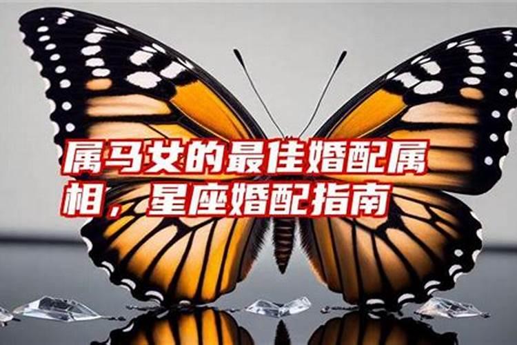女属马最佳婚配表 女属马如何保持幸福婚姻