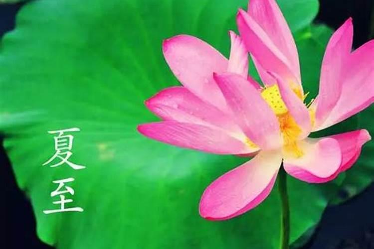 梦见车和手机丢失的预兆