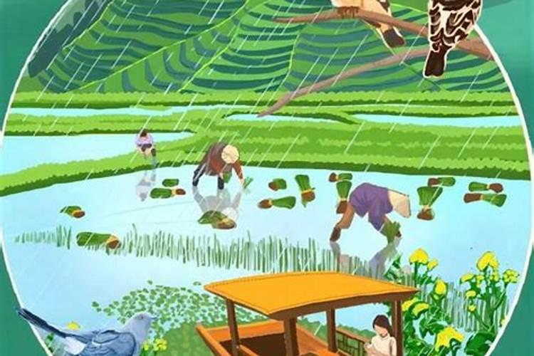尾火虎星宿是什么意思
