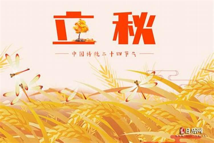 己未是什么意思己未的意思详解