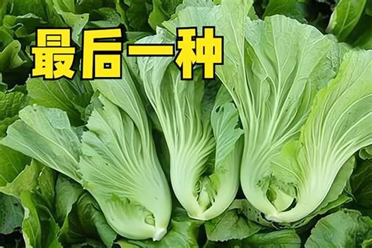 梦见前妻的体贴和关心