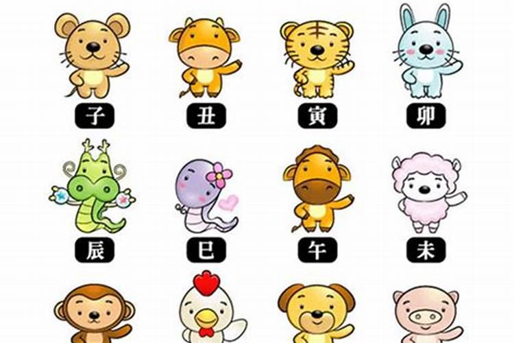 如何查属相