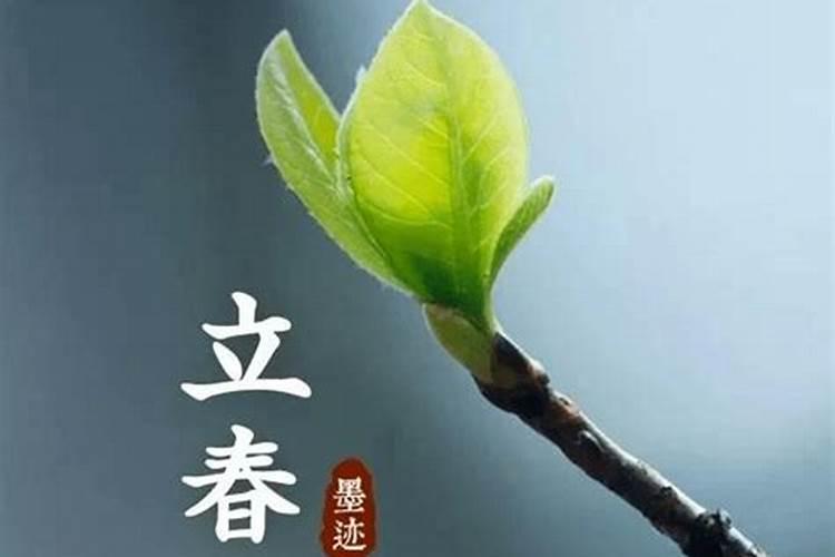 八字立春交接出生怎么算八字会不会带有两个八字的性质