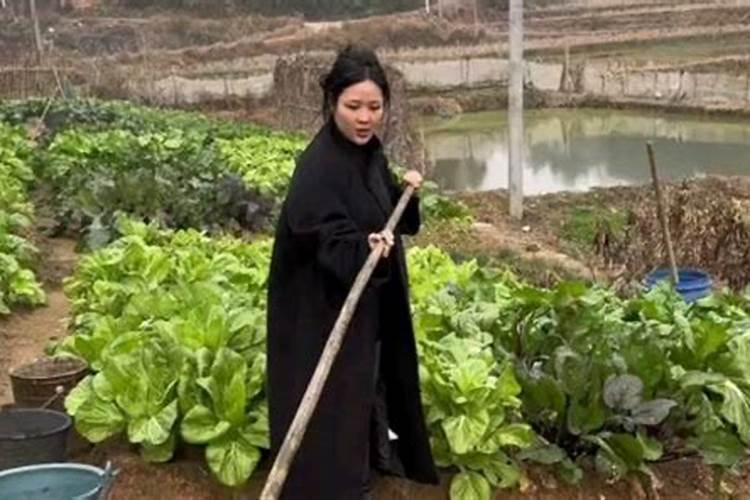 两个离婚的再结婚要什么证件