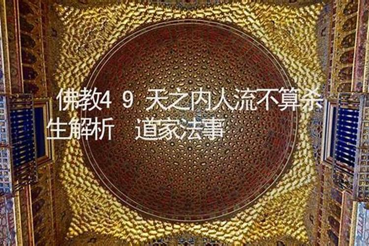 佛经里说的中阴身的49天里在干什么？