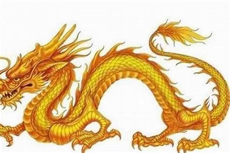 生肖龙是什么生肖？