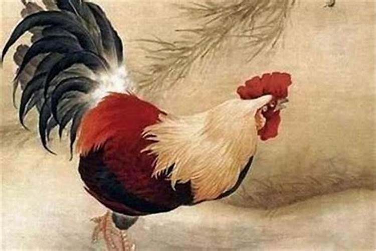夫妻八字不合佩戴什么化解？