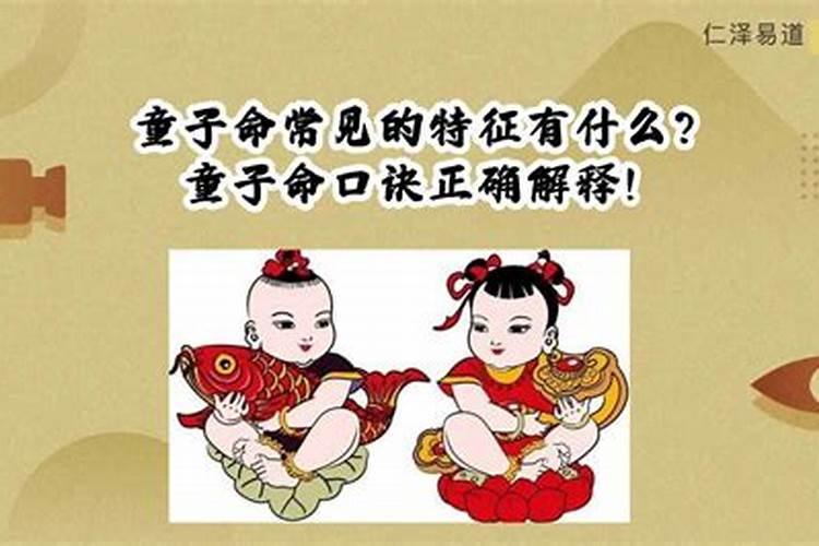 属兔五月出生命运如何