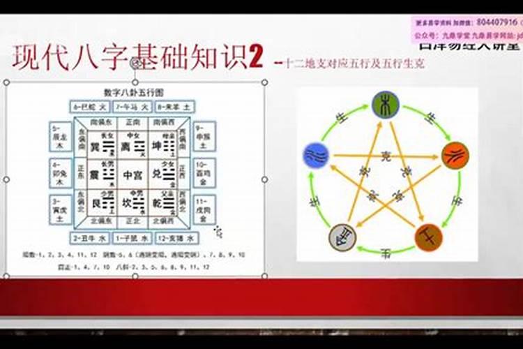为什么重阳节是老人的节日