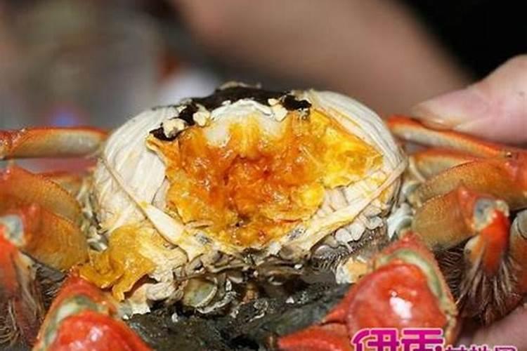 奇门遁甲知识  奇门遁甲九宫格局分解总论