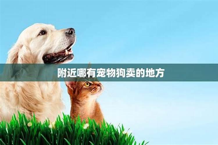 冬至也要去祭拜祖先吗