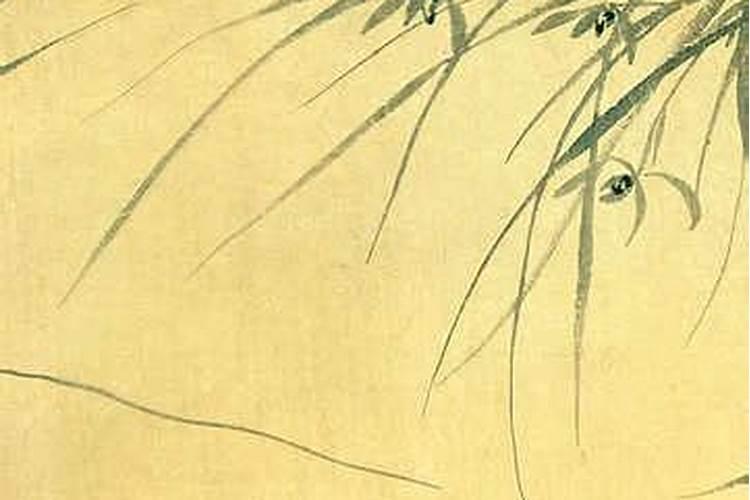 梦见老板去家里做客的预兆