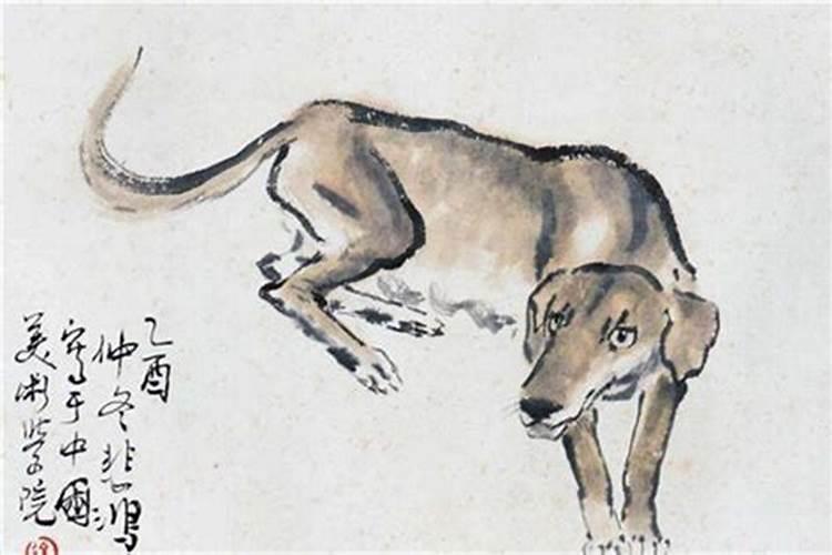 单身女人梦见陌生男人