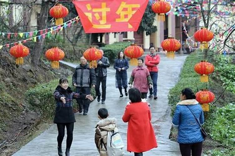 梦见树周公解梦
