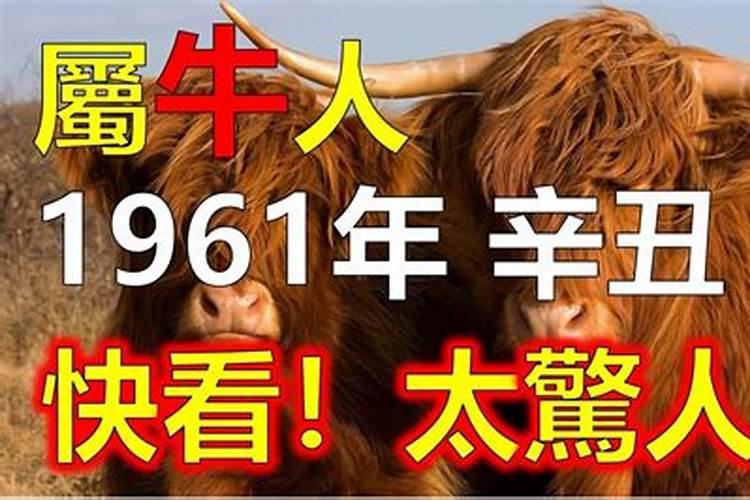 2021年农历三月二十四立夏出生的宝宝好吗 五行缺什么