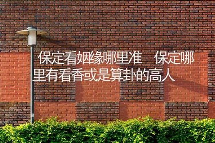 保定竞秀公园相亲大会什么时间开？