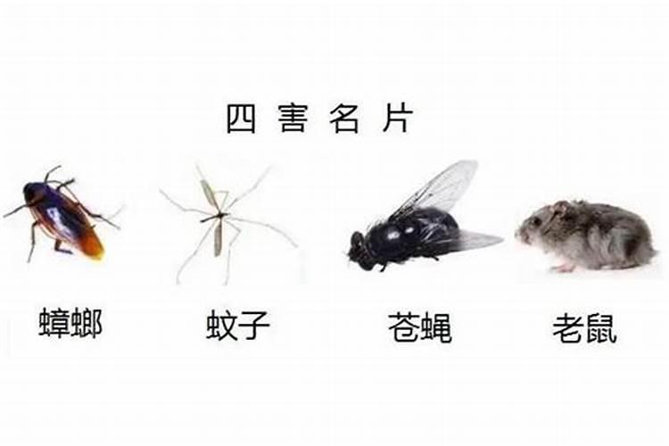 梦见金子是什么征兆？