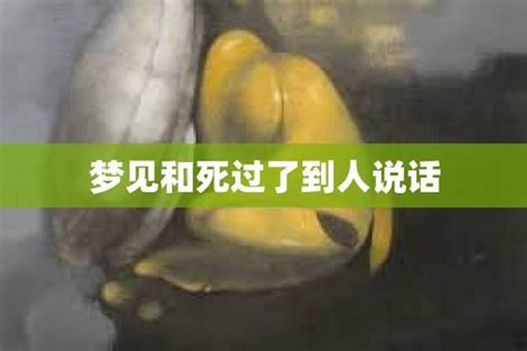 2025属羊犯太岁吗