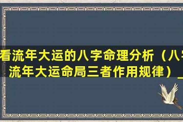 什么成语带表家族混乱？