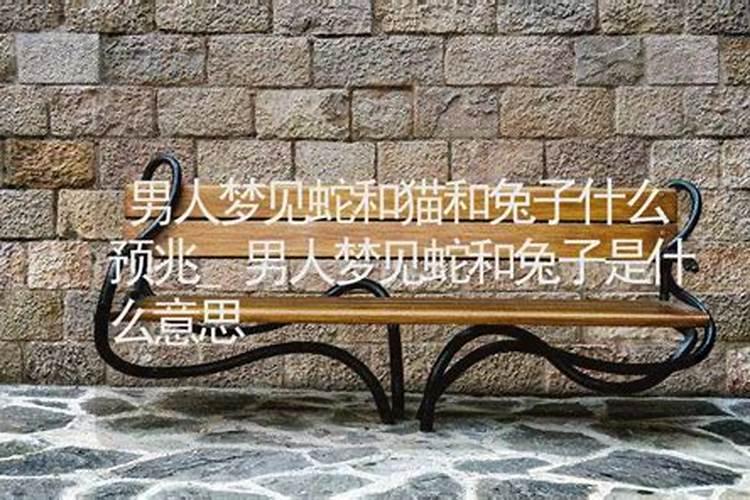 梦见兔子和蛇的预兆