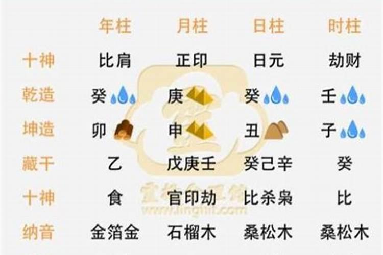 1972年的鼠2025年每月运气