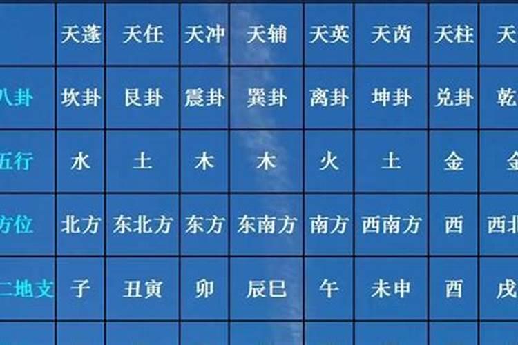 九星排盘坐山和向排法哪个才对