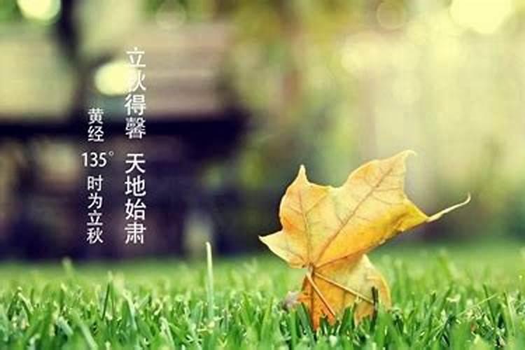 女儿叫,李秋(立秋那天出生的)好还是叫李妍好。
