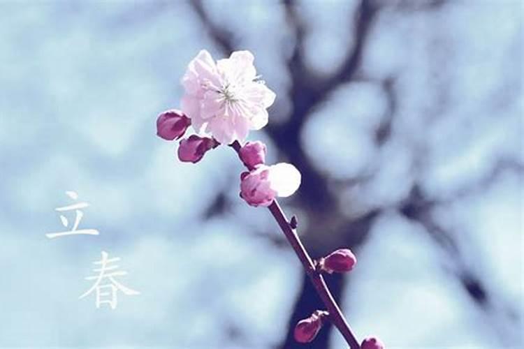 76年10月14日辰时生名字几笔