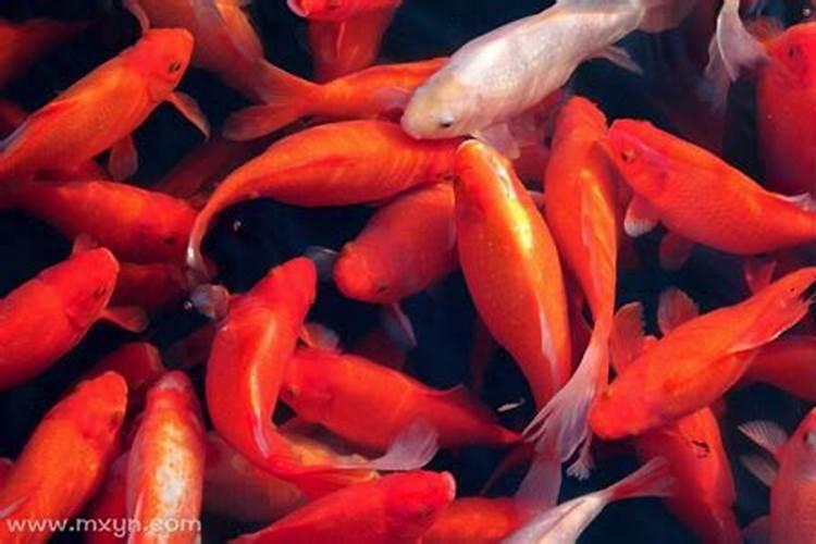 清明节如何网上扫墓呢？