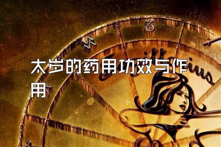 太岁为何物？