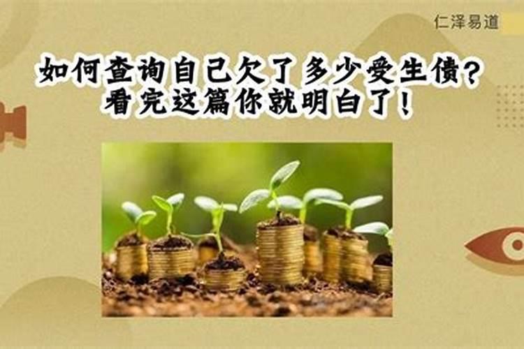 怎么查受生债及受生债查询表