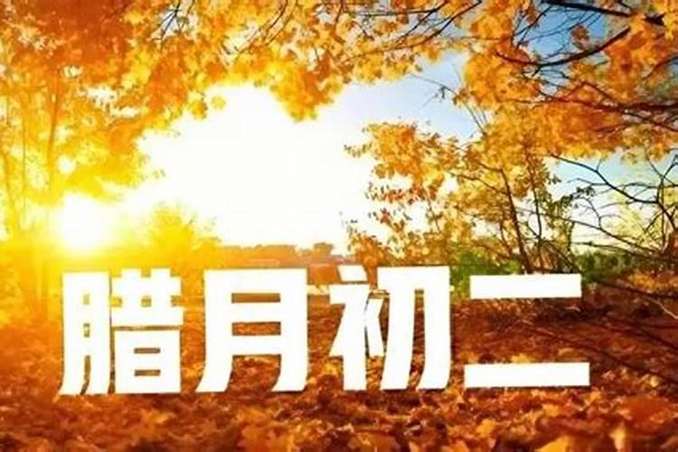 属猪的几月出生最好