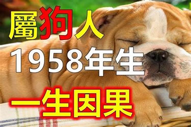 丁卯运是什么意思？