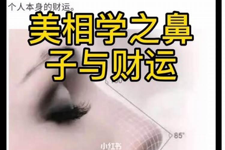 肉鼻子财运好不好,女人鼻头圆润有肉旺夫