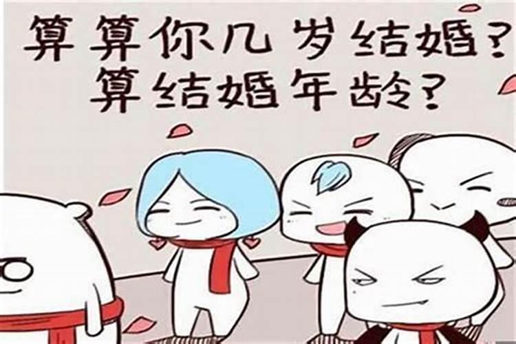 2025犯太岁虎颜色旺