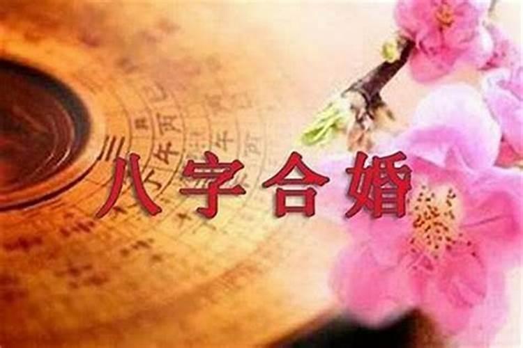南方人冬至吃什么食物(要做什么事)