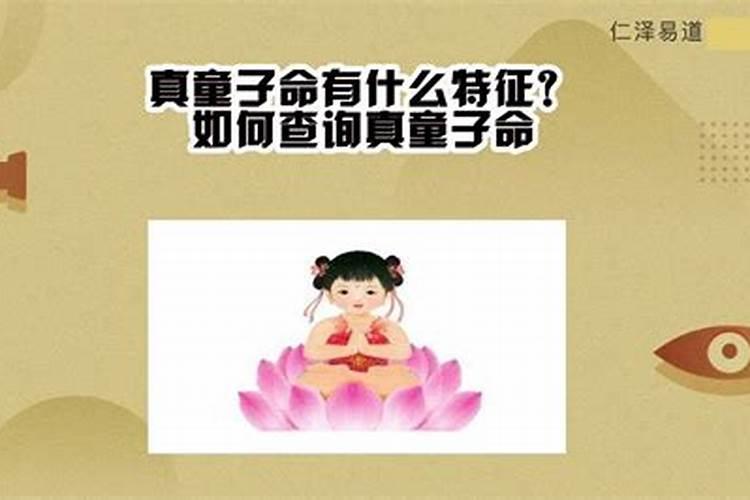 怎么查命里有没有童子