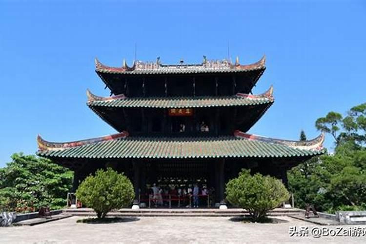 龙眼四季促花栽培,新技术有哪些？