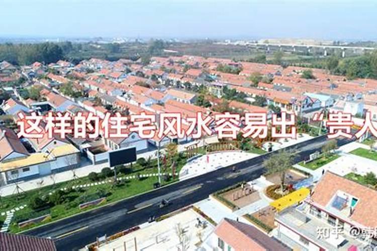 腊月属虎女的命运 12月出生的属虎人财运