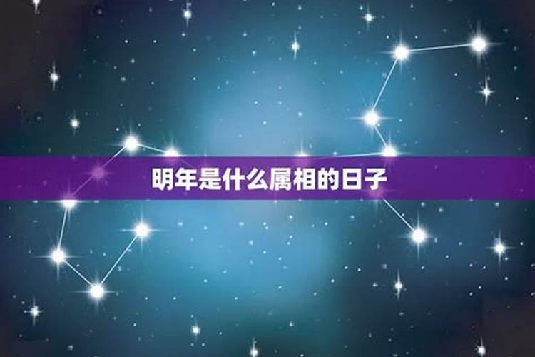 2025年及以后犯太岁的属相