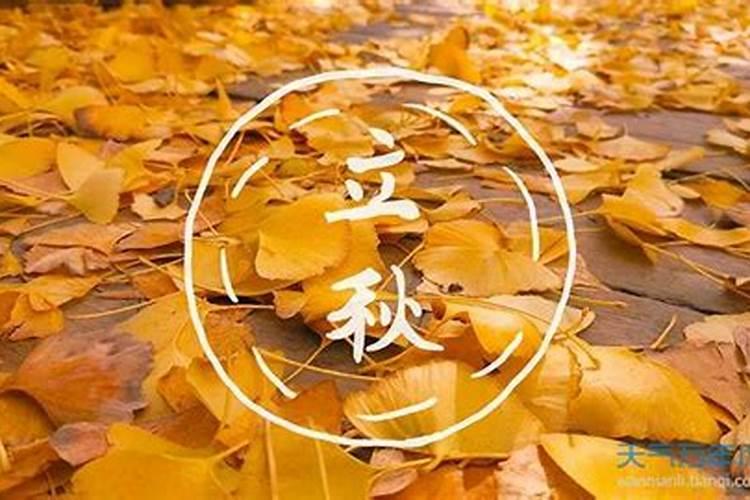 梦见老虎和豹子还有点狮子的预兆
