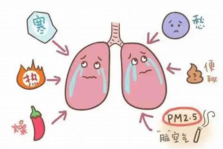 师傅您好,我堕胎十几年了,需要念诵多少地藏经回向给那可怜的孩子百度...