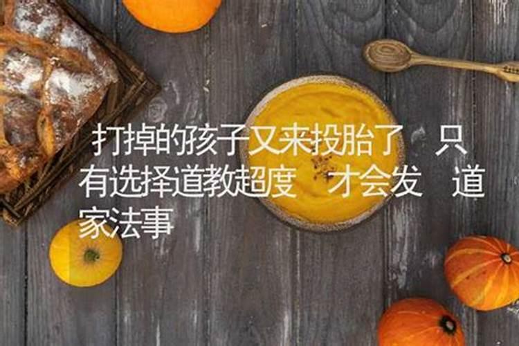 农历8月出生属狗人命好吗