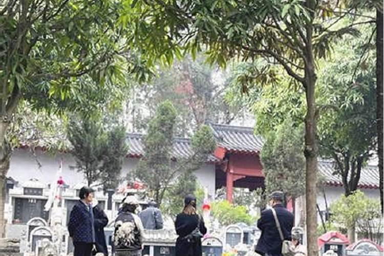 梦见同事被杀什么预兆
