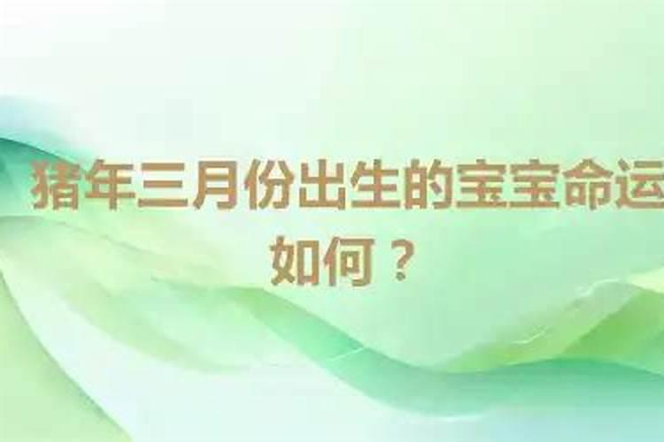 属猪人不同月份出生的命运都如何