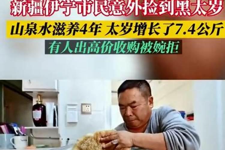 太岁是什么东西。为什么说它是一种邪物