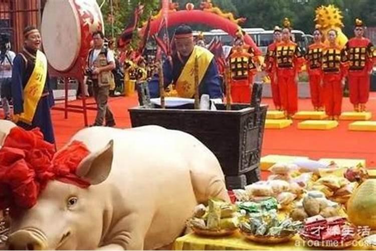 壬子年,丁未月,已酉日子时命运