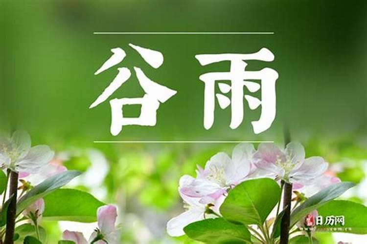 谷雨和清明谁在前？谷雨节气吃什么好？