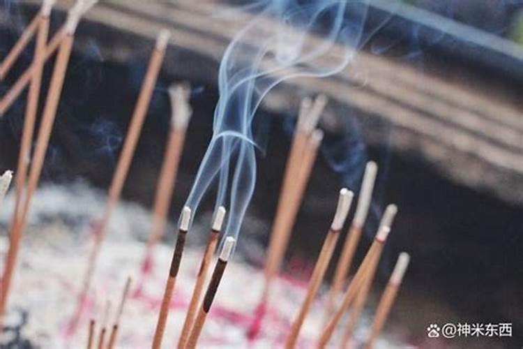 农历3月出生的猪为什么不好 三月属猪人的性格