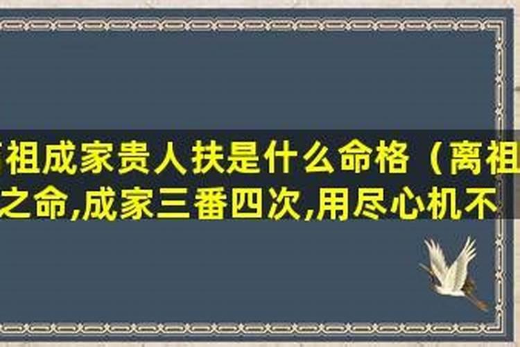 梦见自己踩死蝎子的预兆